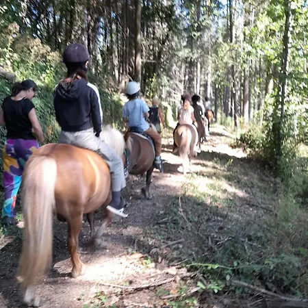 Les Poneys Du Val D'emeraude Nyaraló Lasalle
